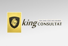 king consultat a concern of black-iz it, BLACK iz IT Concern